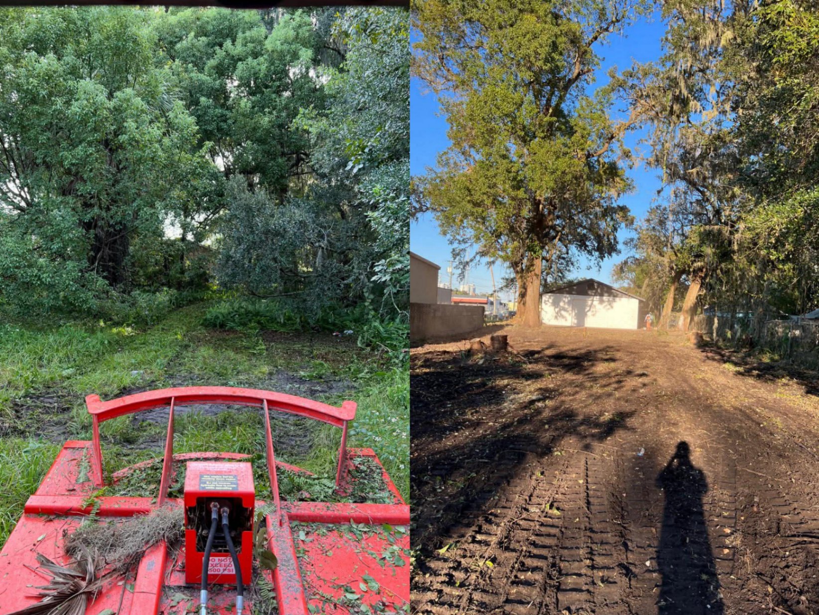 Side-by-side before and after showing overgrown lot transformed by forestry mulching in Florida