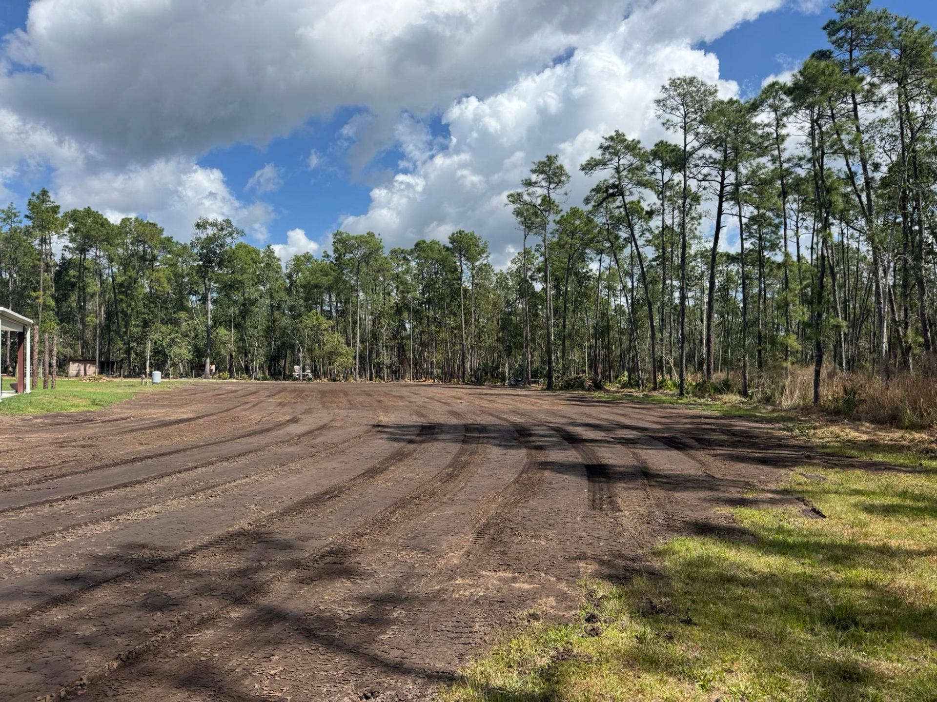 Large graded lot with equipment tracks leading toward tall pine tree line after site preparation in Volusia County, FL