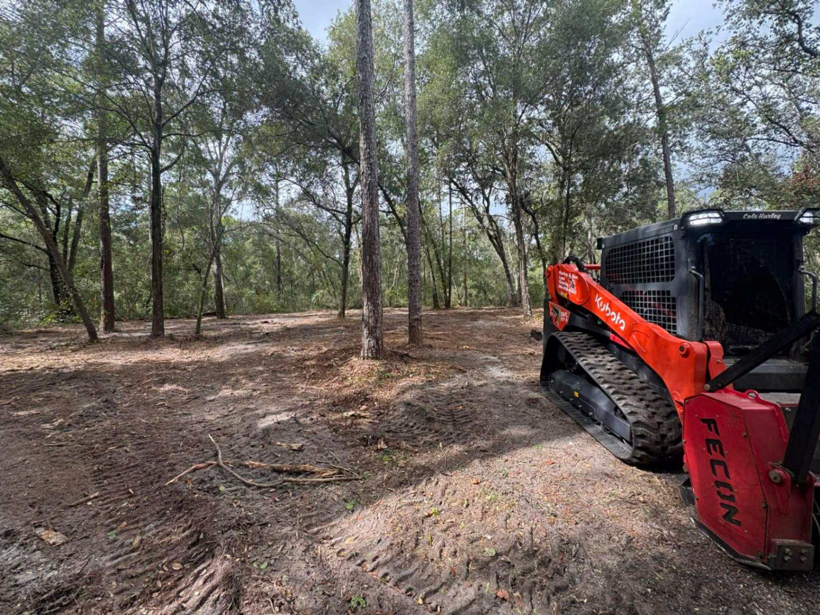 Kubota skid steer with Fecon mulcher on freshly cleared wooded lot with trees standing in Florida