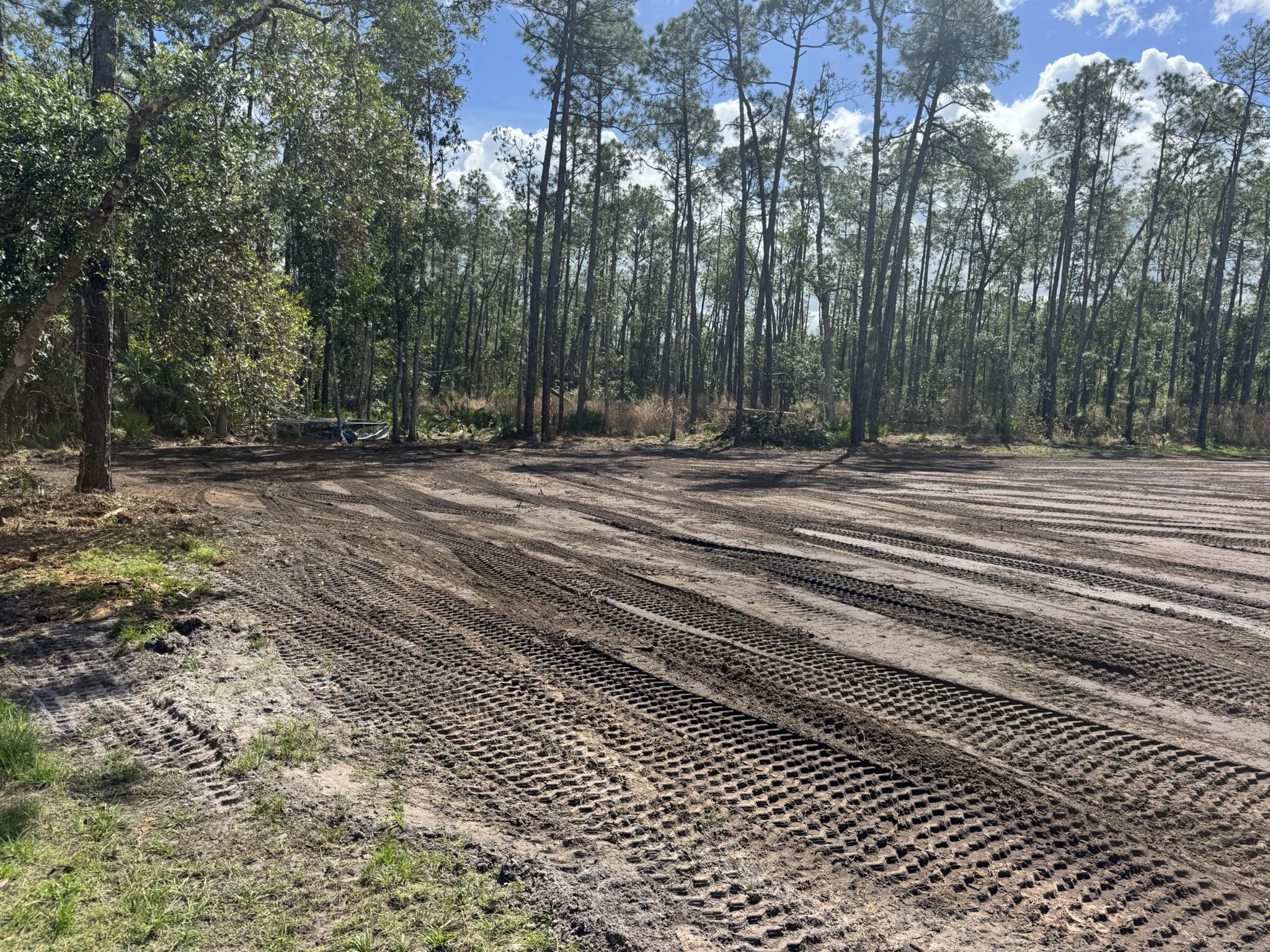 Freshly cleared and graded residential lot with pine tree line preserved in Deltona, FL