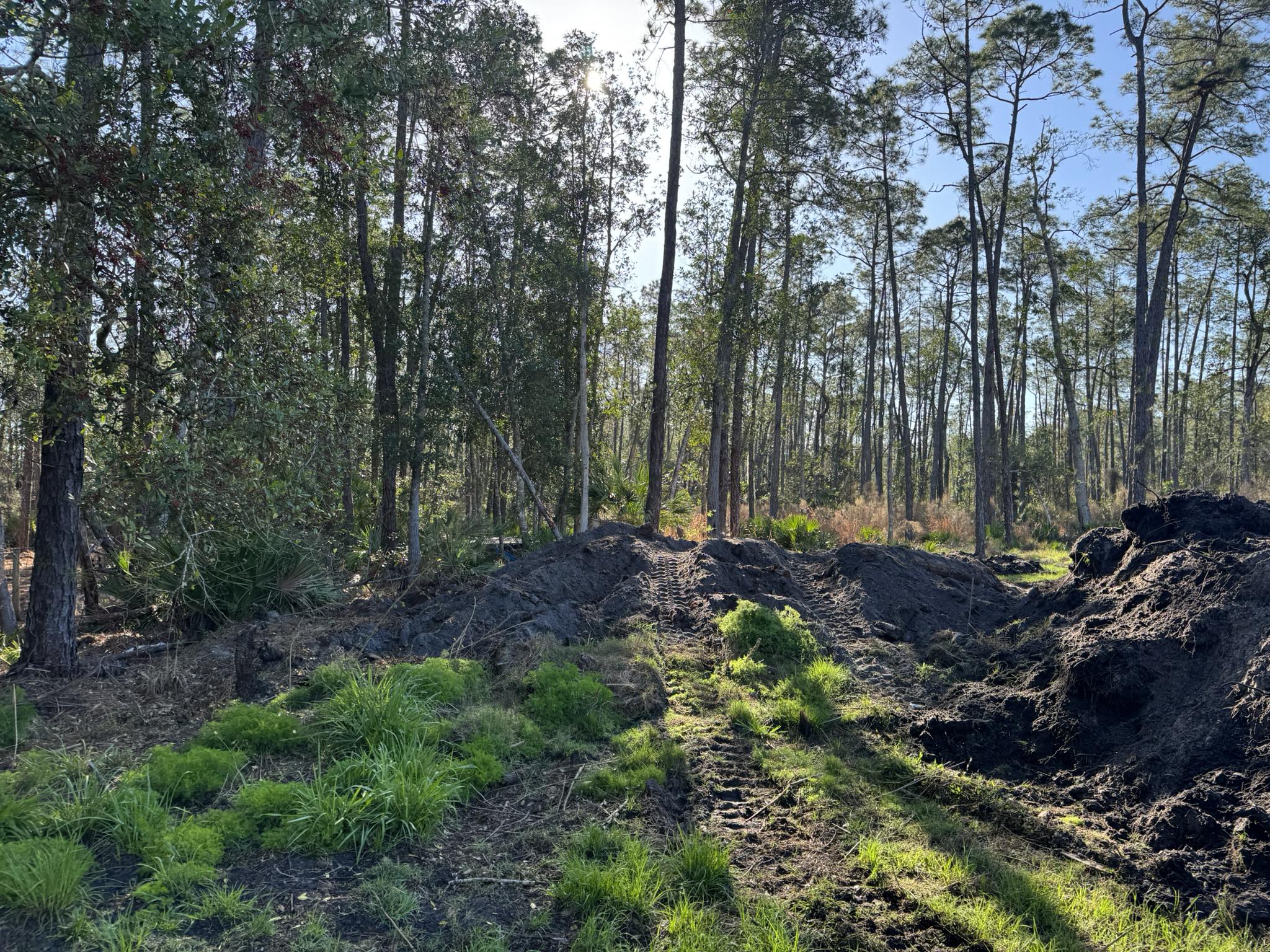Dirt mounds and equipment tracks on wooded lot during active clearing in Deltona, FL